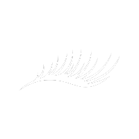 Eyelash icon